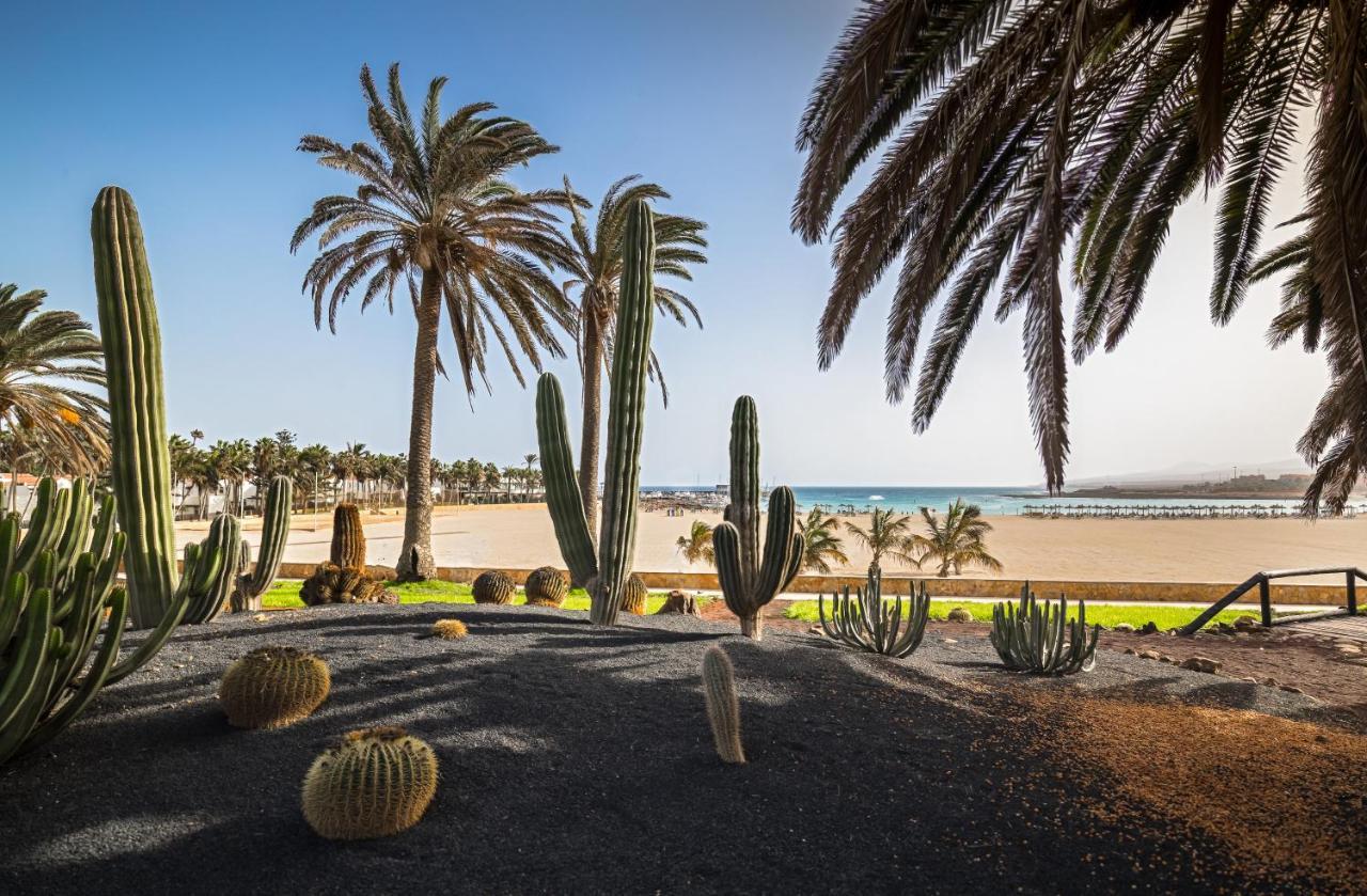 Barcelo Fuerteventura Royal Level - Adults Only Otel Caleta De Fuste Dış mekan fotoğraf